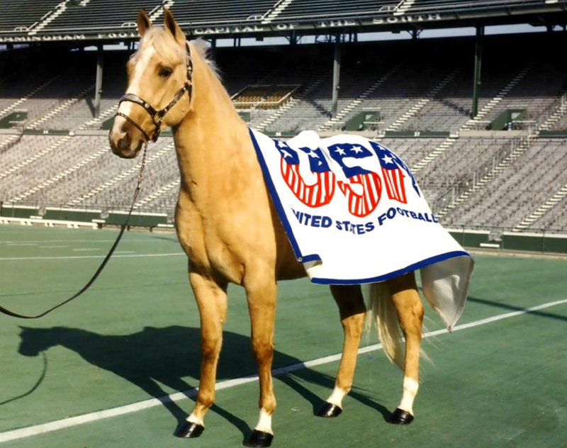 USFL Registers Trademark for Mobile Stallions